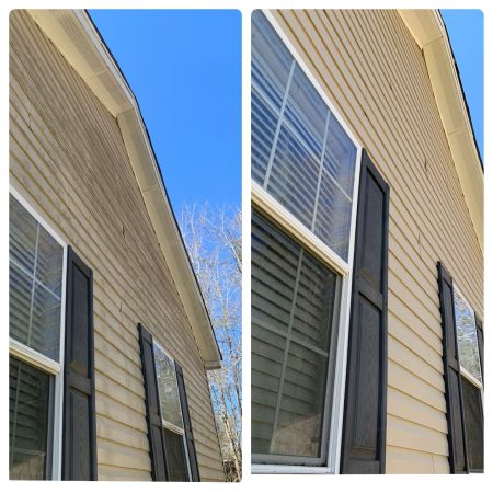 Siding cleaning in Hollywood Image