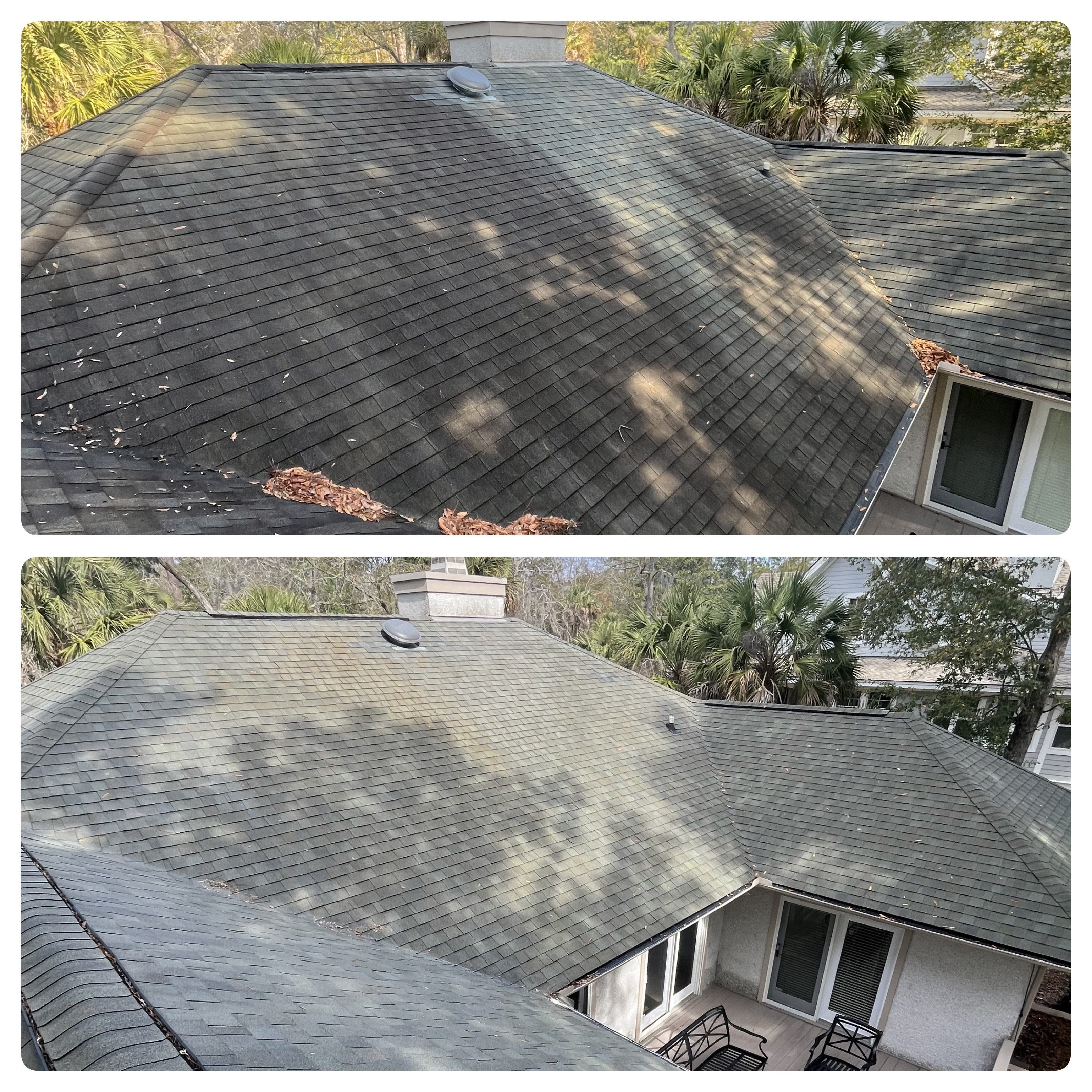 Top Tier Roof Cleaning Performed in Johns Island, SC